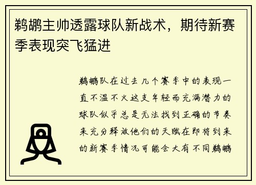 鹈鹕主帅透露球队新战术，期待新赛季表现突飞猛进