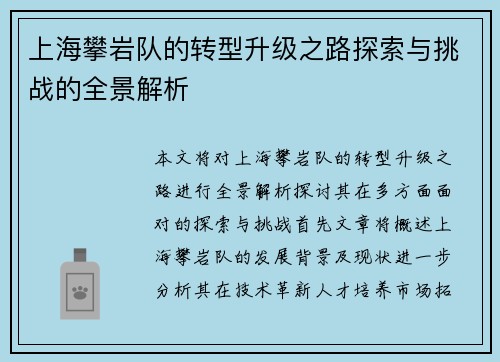 上海攀岩队的转型升级之路探索与挑战的全景解析